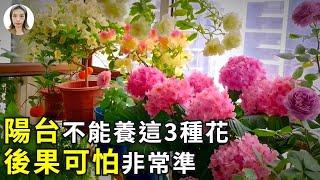 陽台不能養這3種花，特別是第2種，後果嚴重不是迷信！|花花世界