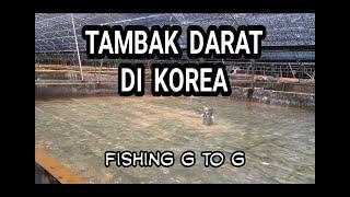 FISHING G TO G,,, inilah kerjaku di korea, TAMBAK DARAT KOREA | BIDANG PERIKANAN ....