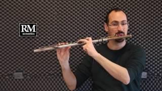 RMacoustics Flute Microphone Demo