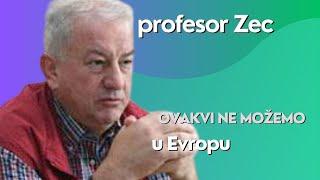 Ovakvi ne možemo u Evropu - profesor Zec