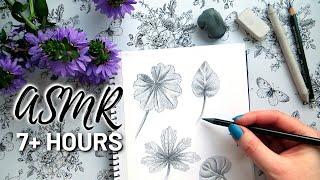 ASMR Drawing for 7+ Hours | No Talking