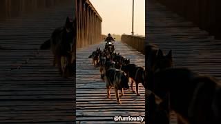Epic Daily Training #furriously