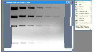 Quantity One Software Tutorial by Bio-Rad Laboratories