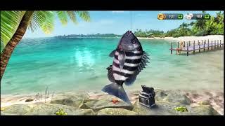 Ep 9 Fishing Clash Android Gameplay