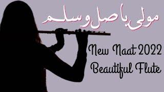 Sweet And Beautiful Flute || Mola Ya Sale Wasalim || New Naat 2022 || Islamic Media 360