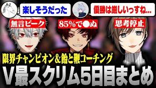 【#V最協S6】V最スクリム5日目まとめ｜w/葛葉 柊ツルギ YukaF Taida【にじさんじ/叶/切り抜き/APEX】