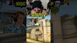 FaZe Rain Reacts To XQC'S BEST CLIP 