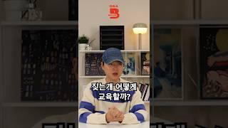 짖는개 어떻게 교육하나요? #강아지 #반려견 #반려동물 #pets #강아지훈련