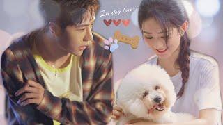 I wonder if dogs have anything to do with it?#wangyibo_zhaoliying