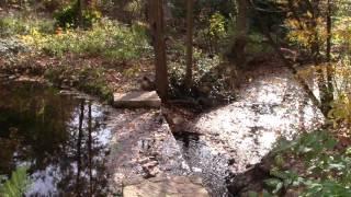 Water features at the Leonard J. Buck Garden