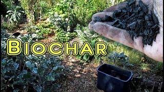 Biochar | How To Apply In The Garden, Simple Activation & What Happens If...