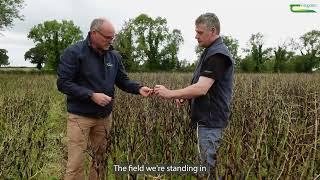 Plant-based proteins -   An Irish Farmers Experience