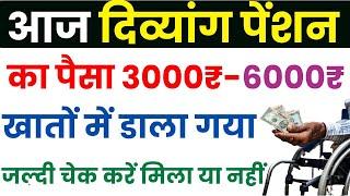 आज दिव्यांग पेंशन का पैसा खातों में भेजा गया जल्दी चेक करें | UP Divyang Pension Kab Aayegi 2024