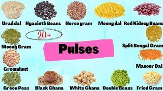 Grains | Pulses | Cereals | Pulses Names in Tamil & English | பருப்பு வகைகள்  | English Tamil Dict..