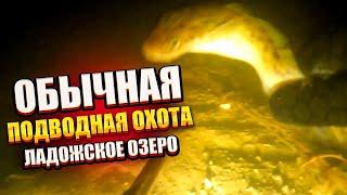 Обычная подводная охота, Ладожское озеро.