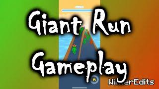 Giant Run 3D - Level 50 Gameplay By WinterEdits