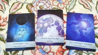 Tarot chọn tụ: BẠN ĐÃ CÓ SỰ THAY ĐỔI NHƯ THẾ NÀO TRONG MẮT NHÌN CỦA MỌI NGƯỜI  Tarot Xuân Thúy