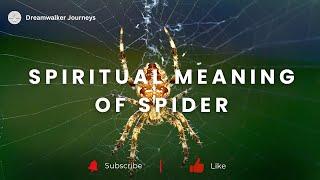 Spiritual Meaning of Spider | Spider Symbolism