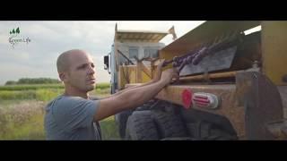 Пересадка больших деревьев, компания Green Life Украина