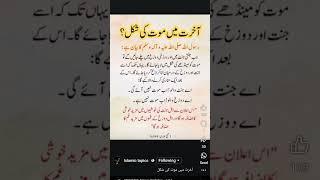 akhrat main mot ki shakal|| #hadees  #shorts #islam #allah #new #shortsfeed #yt #trending #quotes