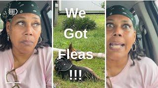 Me and My Dog Had Our First Fight  | Trusting the Process in Real Life”