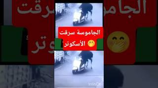الجاموسة سرقت الأسكوتر عجائب وعجائب الصين