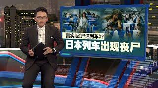 身边乘客突变丧尸   日本上演真实版"尸速列车" | 新闻报报看 20/10/2024