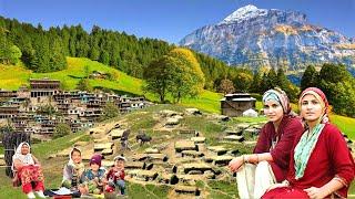 Organic Mountain Village Life Pakistan in Caves | Village Food | Ancient Culture | Stunning Pakistan