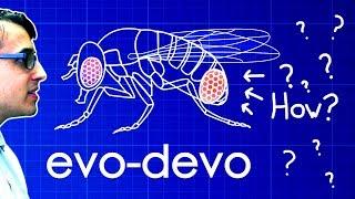 Evo-Devo (Despacito Biology Parody) | A Capella Science