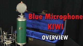 Blue Microphone Kiwi Overview - Review - Pure Wave Audio