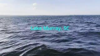 AMAZING Visibility on Sunken 100+ Year Old Bridge!!! Dive Into Lake Murray History!