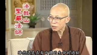 了解十二因緣解脫因果滅無明（聖嚴法師-大法鼓 0990）