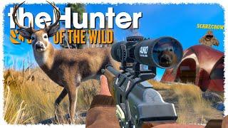 Starting my FIRST GRIND with @ScarecrowTheHunter  | theHunter: Call of the Wild