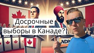 Поддержит ли NDP Пьера Полиева? Новости Канады