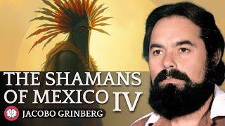 THE SHAMANS OF MEXICO Pt.4 - Audiobook by Dr. JACOBO GRINBERG