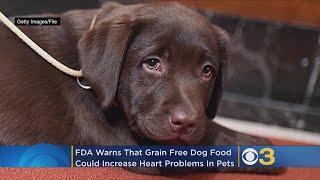 Grain-Free Dog Food Could Lead To Canine Heart Disease, Warn Experts