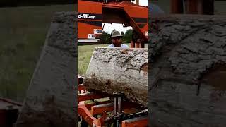 Old School Portable Saw-Milling   #woodmill #wood #sawmill #woodworking