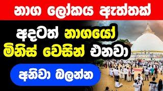 නාග ලෝකයෙන් කැලණියට වැඩි ධාතූන් සහ මිනිස් වෙසින් එන නාගයෝ  Naga Lokaya Kelani Viharaya Temple