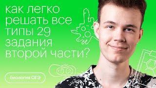 Как легко решать все типы 29 задания второй части? | Биология ОГЭ с  Никитой Николаевым