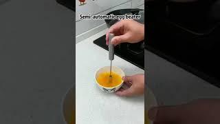 Stainless Steel Semi-Automatic Whisk