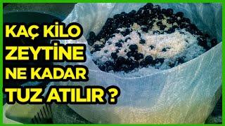 Çuvalda Sele Zeytini Nasıl Kurulur? Bir Kat Tuz Bir Kat Zeytin | Evde Susuz Zeytin Kurma