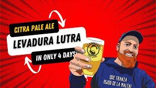 Brewing Citra Pale Ale With lutra #craftbeer #homebrewer #craftbeerlover #westcoast #cerveza