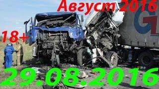 Новая Подборка Аварий и ДТП 18+ Август 2016 || Кучеряво Едем