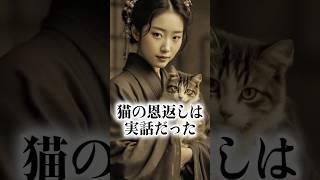 【日本昔話「猫の恩返し」のモデルになった実話】#猫の恩返し #日本昔話 #実話説 #都市伝説 #不思議な話#謎解き #古い伝承 #猫好き #日本の民話 #衝撃の真実