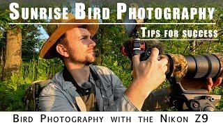 Sunrise Bird Photography with Tips on Photographing Birds in Flight | Nikon Z9