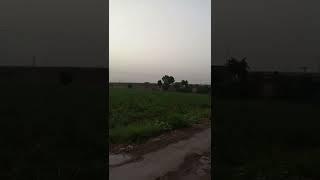 Toba Tek Sing