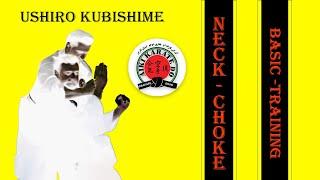 Self Defense Techniques, AikiKarateDo, USHIRO KUBISHIME (Neck Choke), Basic Training.