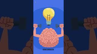  40+ Incredible Facts About The Human Brain | Curious Corner.