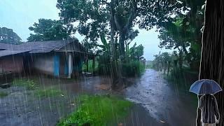 Walking in Serene Heavy Rain and Thunder in Village | AMSR Rain Sounds