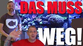 ENDLICH!!! 600L Meerwasseraquarium hat AUSGEDIENT und wird ENTSORGT!!!